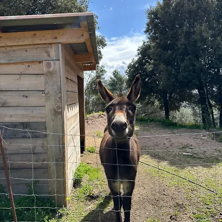 N10 Maison T2 Climatise Avec Jacuzzi Prive *