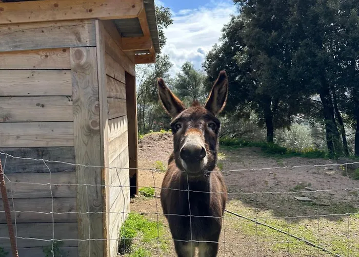 N10 Maison T2 Climatise Avec Jacuzzi Prive *